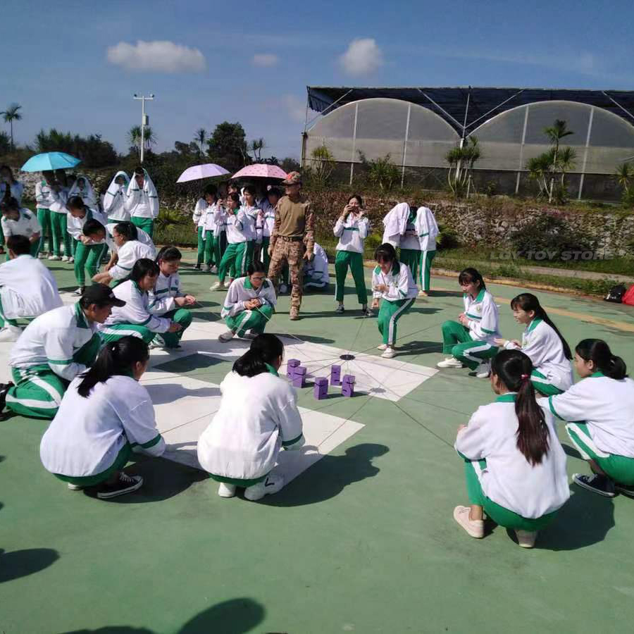 Teamwork Games Tower Building  - Sports Equipment Company ulasan dan harga